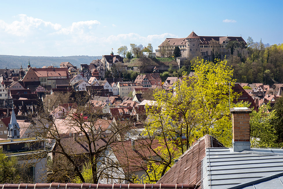 Blick auf das Schloß Hohentübingen