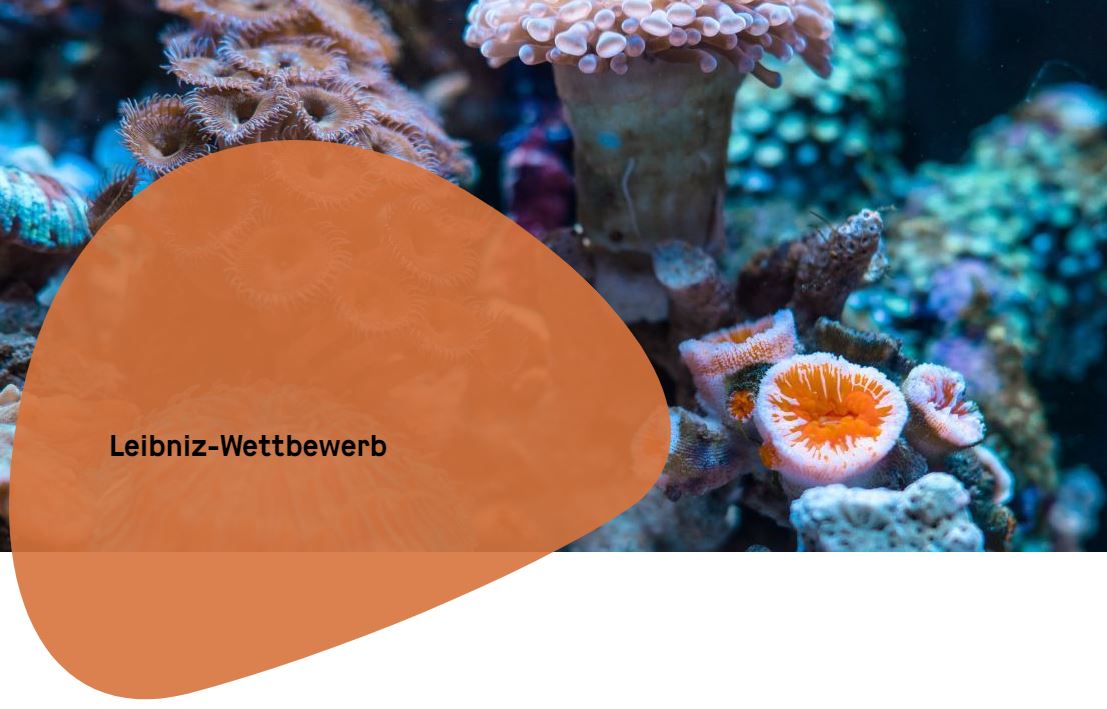 Leibniz-Wettbewerb