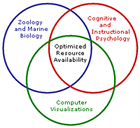 Structure of project